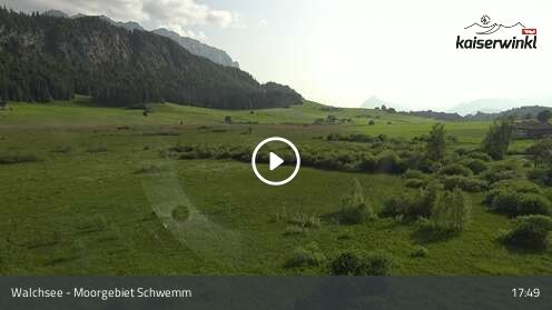 Webcam Moorgebiet Schwemm